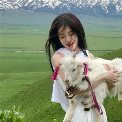 驴皮公主